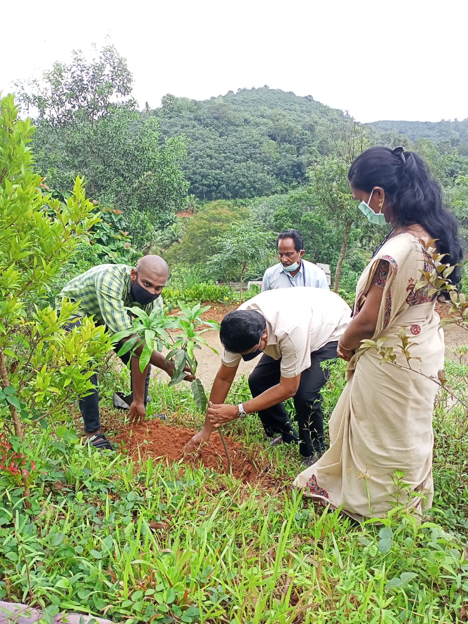 ENVIRONMENTAL DAY